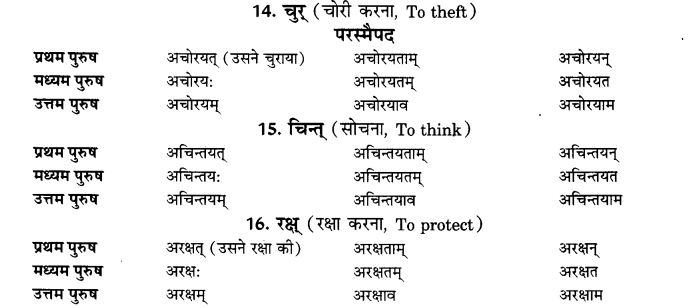 NCERT Solutions for Class 9th Sanskrit Chapter 7 Bhutakalah 3