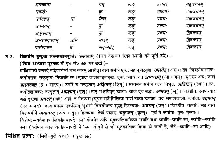 NCERT Solutions for Class 9th Sanskrit Chapter 7 Bhutakalah 8