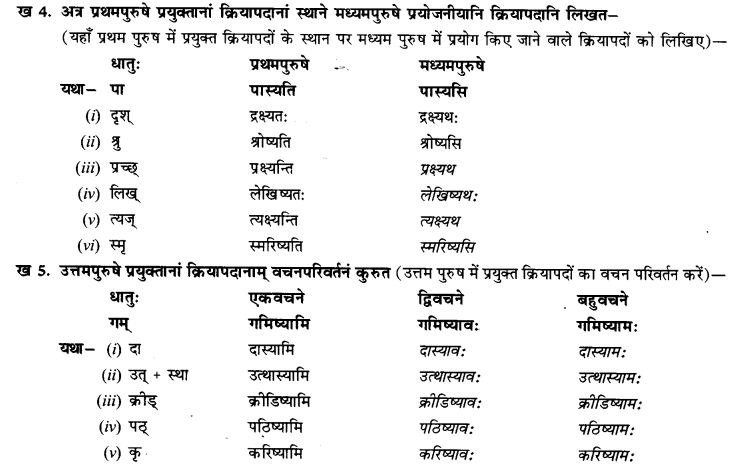 NCERT Solutions for Class 9th Sanskrit Chapter 8 Bhavishatakalah 11