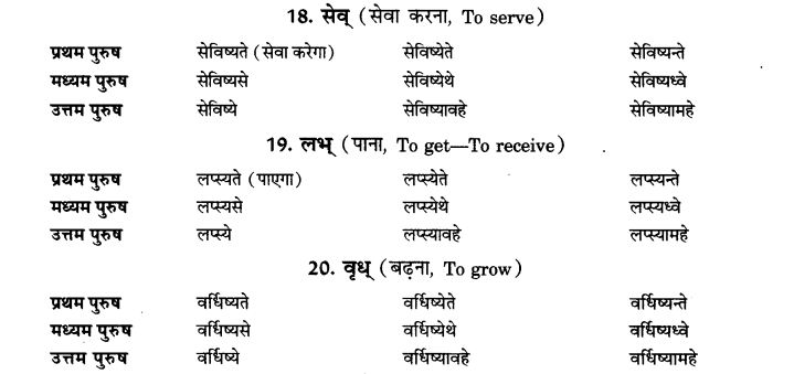 NCERT Solutions for Class 9th Sanskrit Chapter 8 Bhavishatakalah 5