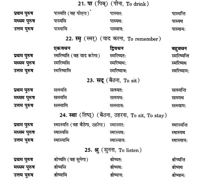 NCERT Solutions for Class 9th Sanskrit Chapter 8 Bhavishatakalah 6