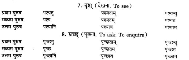 NCERT Solutions for Class 9th Sanskrit Chapter 9 Lot Lakarah 2