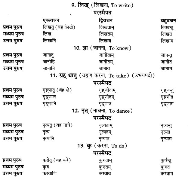 NCERT Solutions for Class 9th Sanskrit Chapter 9 Lot Lakarah 3