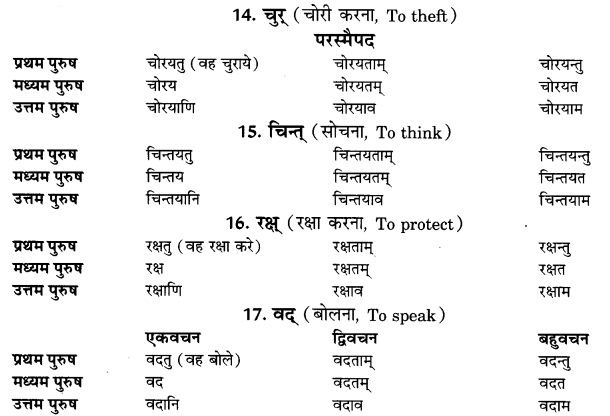 NCERT Solutions for Class 9th Sanskrit Chapter 9 Lot Lakarah 4