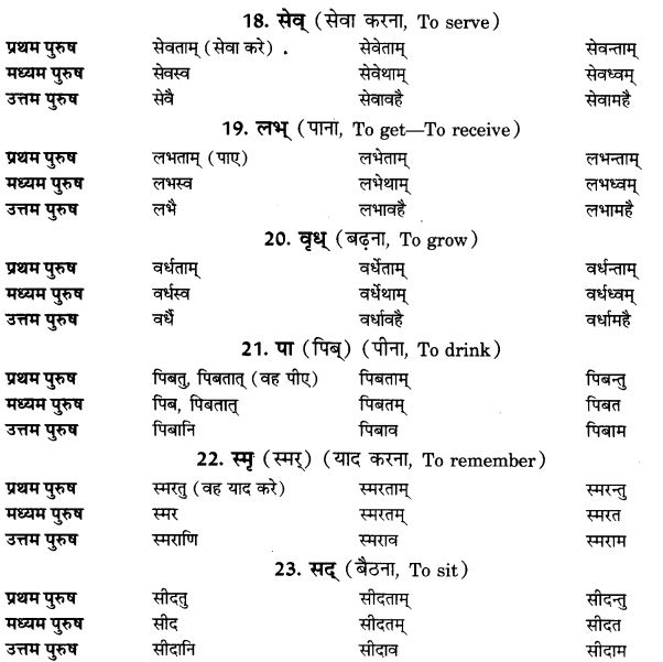 NCERT Solutions for Class 9th Sanskrit Chapter 9 Lot Lakarah 5