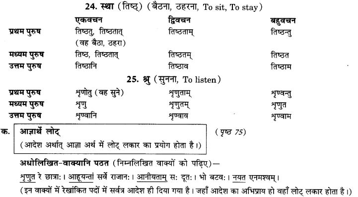 NCERT Solutions for Class 9th Sanskrit Chapter 9 Lot Lakarah 6