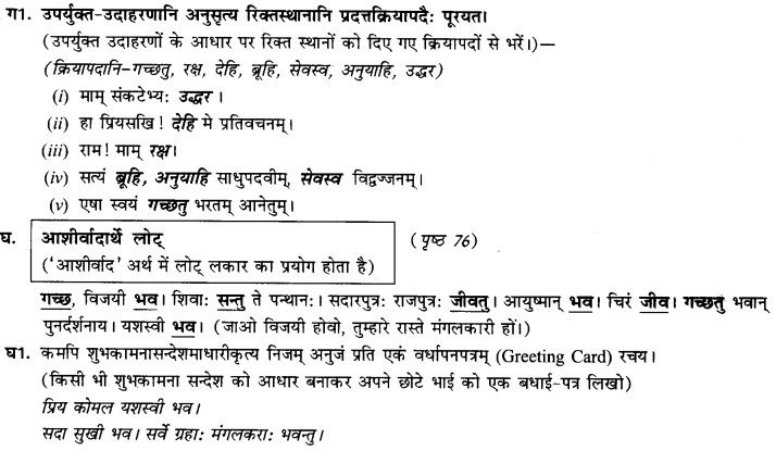 NCERT Solutions for Class 9th Sanskrit Chapter 9 Lot Lakarah 8
