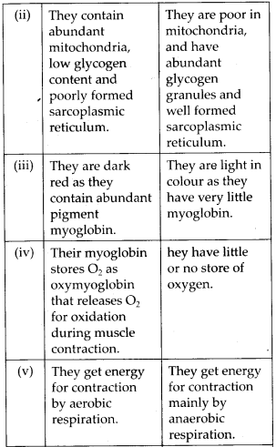 NCERT Solutions For Class 11 Biology Locomotion and Movement Q5.2