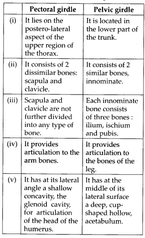 NCERT Solutions For Class 11 Biology Locomotion and Movement Q5.4