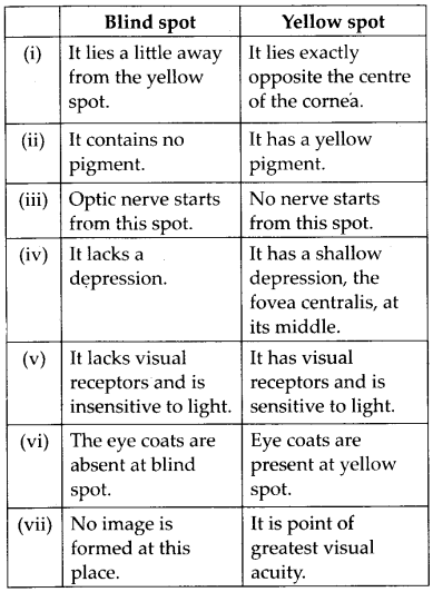 NCERT Solutions For Class 11 Biology Neural Control and Coordination Q12.3