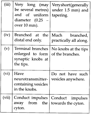 NCERT Solutions For Class 11 Biology Neural Control and Coordination Q9.2