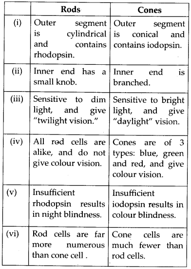 NCERT Solutions For Class 11 Biology Neural Control and Coordination Q9.3