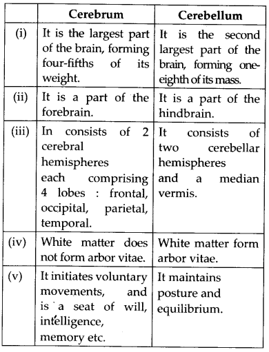 NCERT Solutions For Class 11 Biology Neural Control and Coordination Q9.5