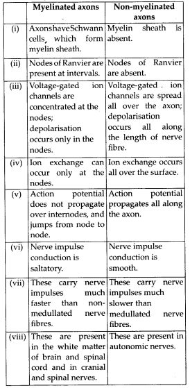 NCERT Solutions For Class 11 Biology Neural Control and Coordination Q9