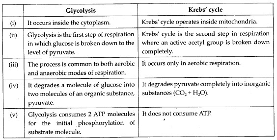 NCERT Solutions For Class 11 Biology Respiration in Plants Q2.1