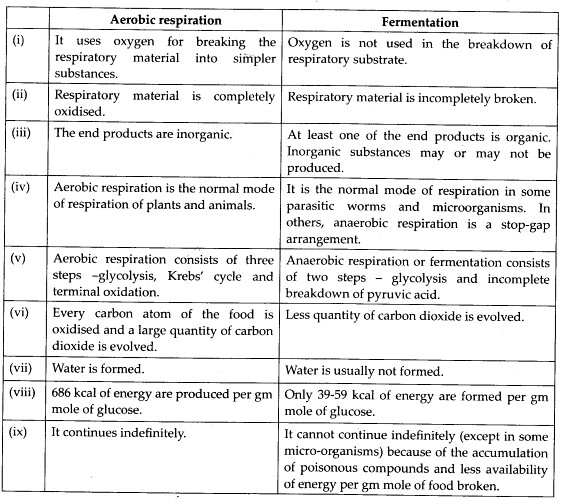 NCERT Solutions For Class 11 Biology Respiration in Plants Q2.3