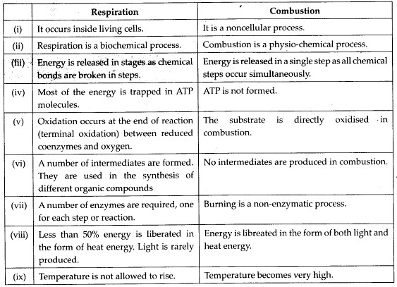 NCERT Solutions For Class 11 Biology Respiration in Plants