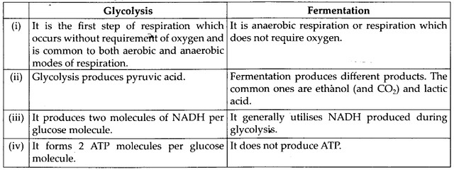 NCERT Solutions For Class 11 Biology Respiration in Plants Q8.1