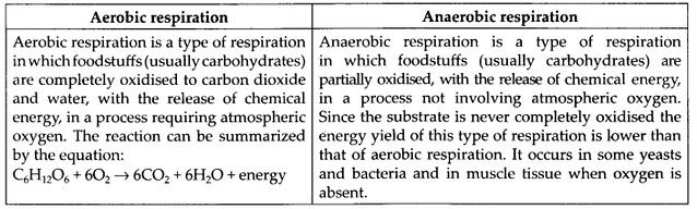 NCERT Solutions For Class 11 Biology Respiration in Plants Q8
