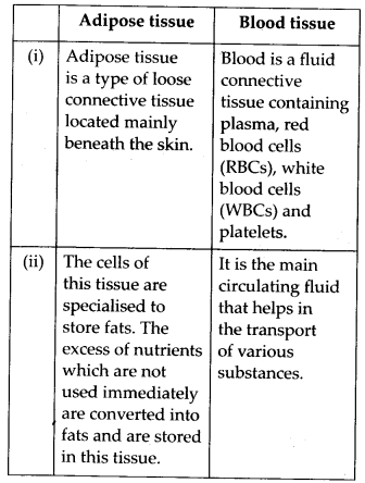NCERT Solutions For Class 11 Biology Structural Organisation in Animals