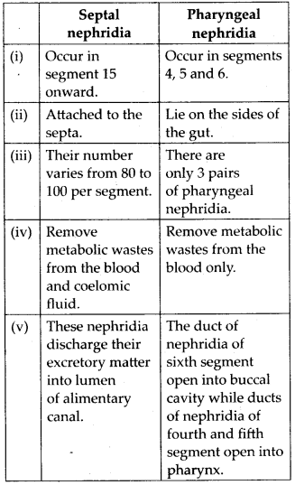 NCERT Solutions For Class 11 Biology Structural Organisation in Animals Q8