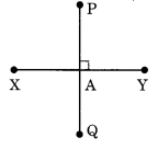 ncert maths class 6 Understanding Elementary Shapes