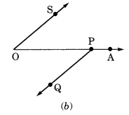 NCERT Solutions for Class 6 Maths Chapter 4 Basic Geometrical Ideas