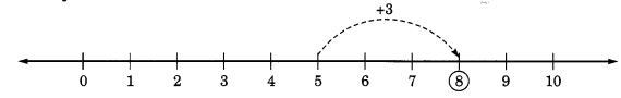 integers sums for class 6