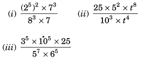 NCERT Solutions for Class 7 Maths Chapter 13 Exponents and Powers Ex 13.2 7