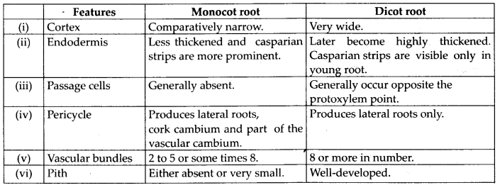 NCERT Solutions For Class 11 Biology Anatomy of Flowering Plants Q4.1