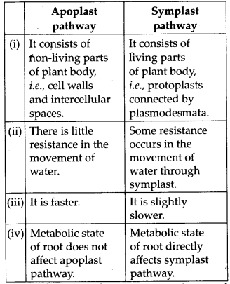 NCERT Solutions For Class 11 Biology Transport in Plants Q16.8