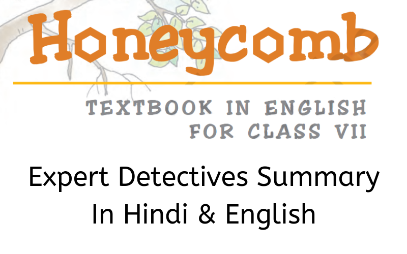 Expert Detectives Summary Class 7 English