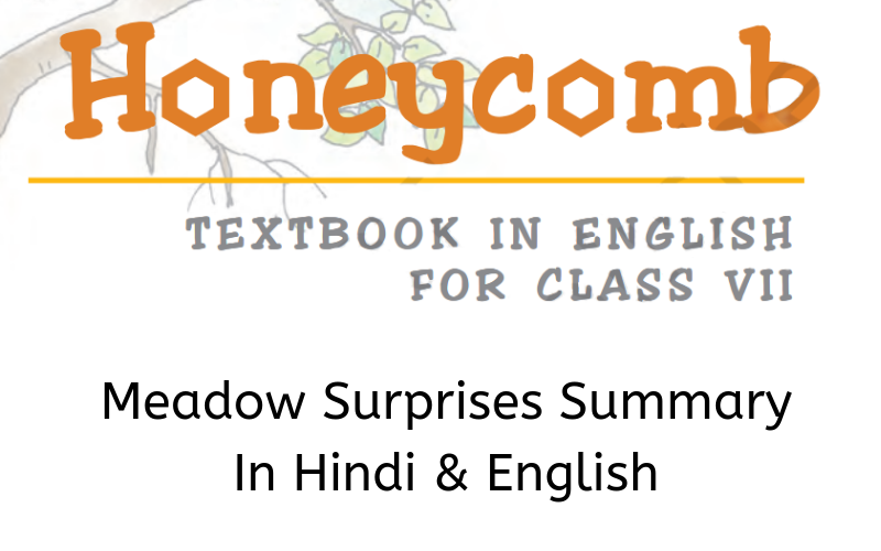 Meadow Surprises Summary Class 7 English