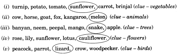 NCERT Solutions for Class 3 English Unit 3 The Enormous Turnip Vocabulary
