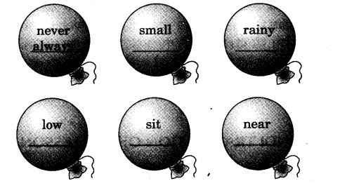 NCERT Solutions for Class 3 English Unit 5 The Balloon Man Q4