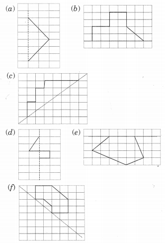 NCERT Solutions For Class 6 Maths Chapter 13 Symmetry 