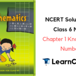 NCERT Solutions for Class 6 Maths Chapter 1 Knowing Our Numbers