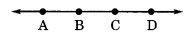 NCERT Solutions for Class 6 Maths Chapter 4 Basic Geometrical Ideas