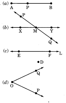 NCERT Solutions for Class 6 Maths Chapter 4 Basic Geometrical Ideas