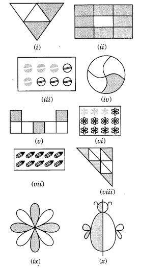 NCERT Solutions for Class 6 Maths Chapter 7 Fractions