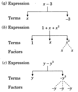 NCERT Solutions for Class 7 Maths Chapter 12 Algebraic Expressions 1