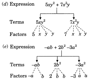 NCERT Solutions for Class 7 Maths Chapter 12 Algebraic Expressions 2