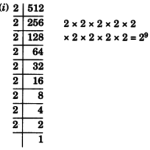 NCERT Solutions for Class 7 Maths Chapter 13 Exponents and Powers 1