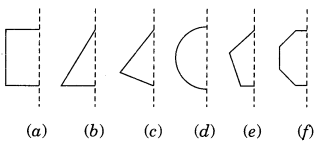 NCERT Solutions for Class 7 Maths Chapter 14 Symmetry 6