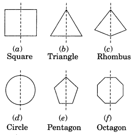 NCERT Solutions for Class 7 Maths Chapter 14 Symmetry 7