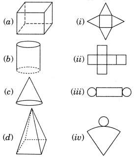 NCERT Solutions for Class 7 Maths Chapter 15 Visualising Solid Shapes 7