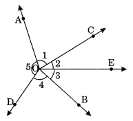 NCERT Solutions for Class 7 Maths Chapter 5 Lines and Angles 4