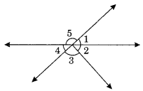 NCERT Solutions for Class 7 Maths Chapter 5 Lines and Angles 5