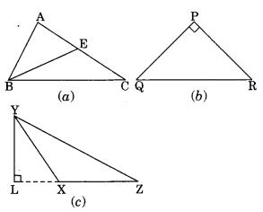 NCERT Solutions for Class 7 Maths Chapter 6 The Triangle and its Properties 2