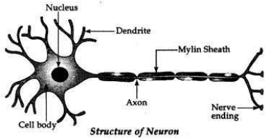 Solved CBSE Sample Papers for Class 10 Science Set 2 10